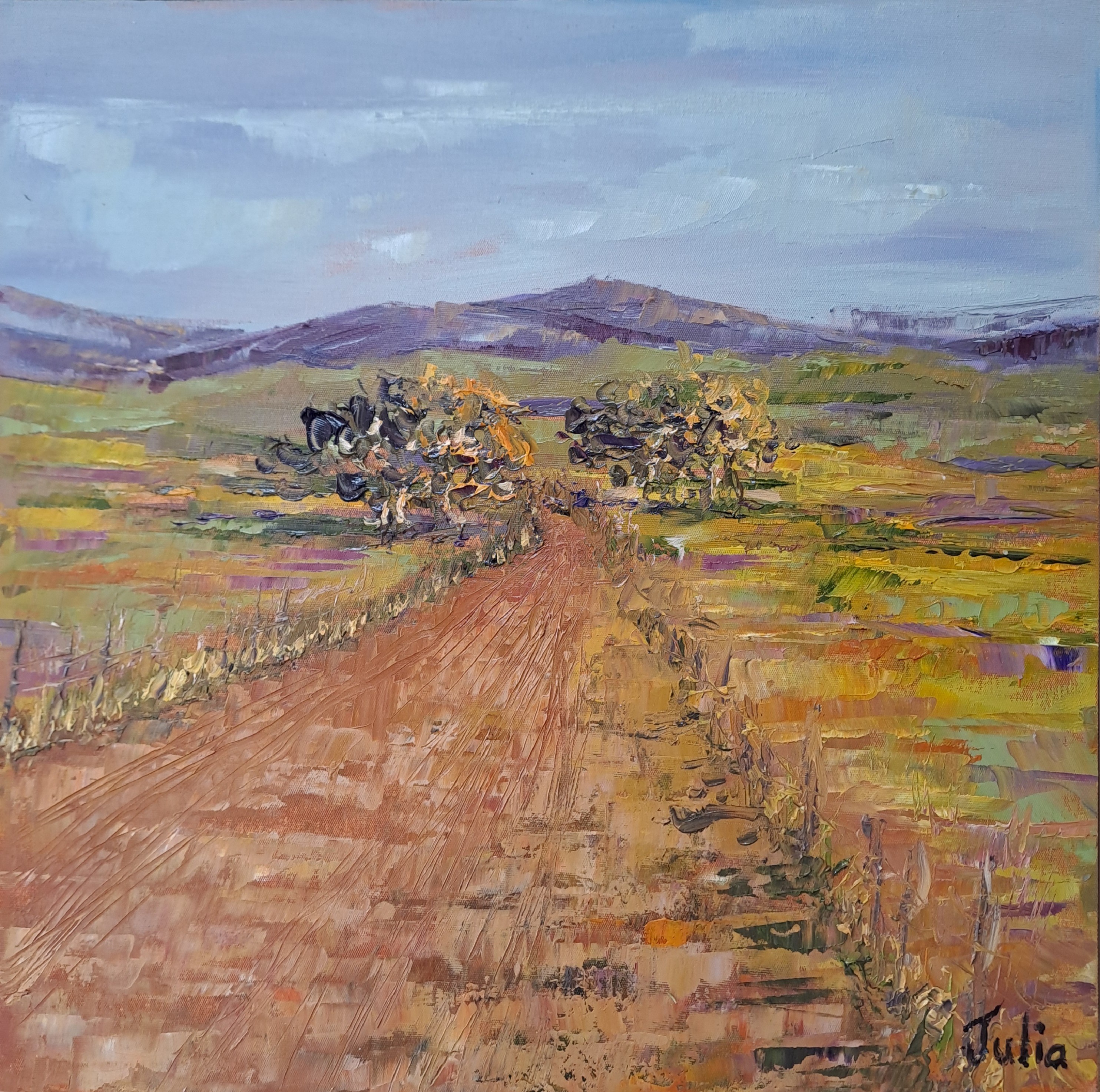 Farm Road into the Overberg